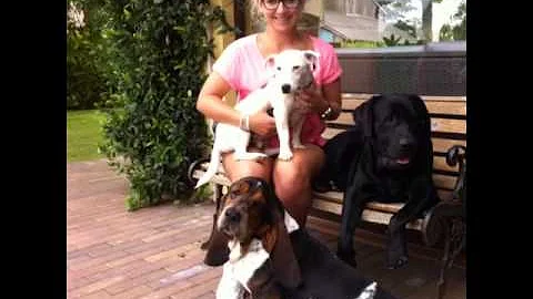 Quanti sono 5 anni per un cane?