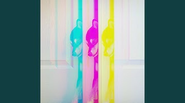 Opulent Backdrops for Puppy Fun