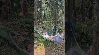 Die Beste Hängematte Der Welt Ängematte