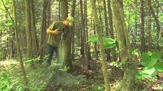 Rack Stacker™ - Whitetail Deer Management With Steve Elmy