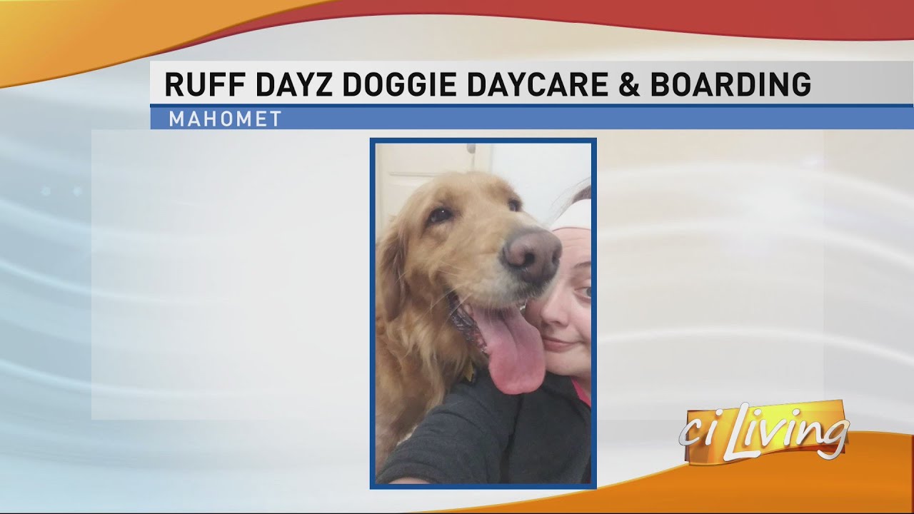 ruff's boarding and doggy daycare