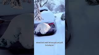 Bergen County snow report #snow #snowstorm #nj