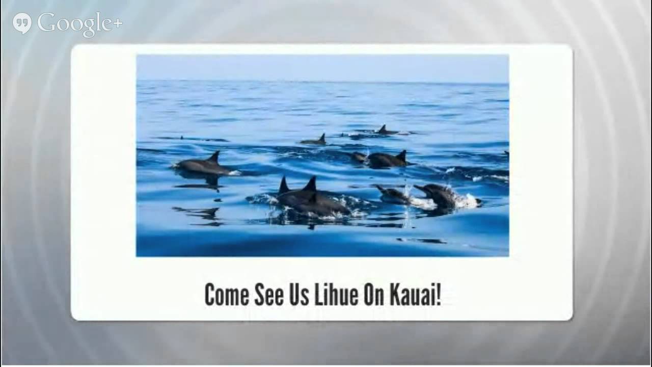 rent a car in lihue kauai airport Lihue, Hawaii Car Rentals 808 634