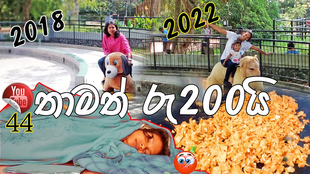 මෙච්චර අඩුවට තාමත් රුපියල් 200😯I am very sick today #vlog  #shiharagamage