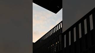 urban walking | passing signals