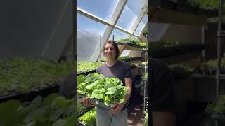 Beginning Farmer Training Program