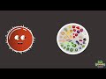 What Is Coronavirus  | Coronavirus Outbreak |KLT