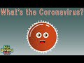 What Is Coronavirus  | Coronavirus Outbreak |KLT