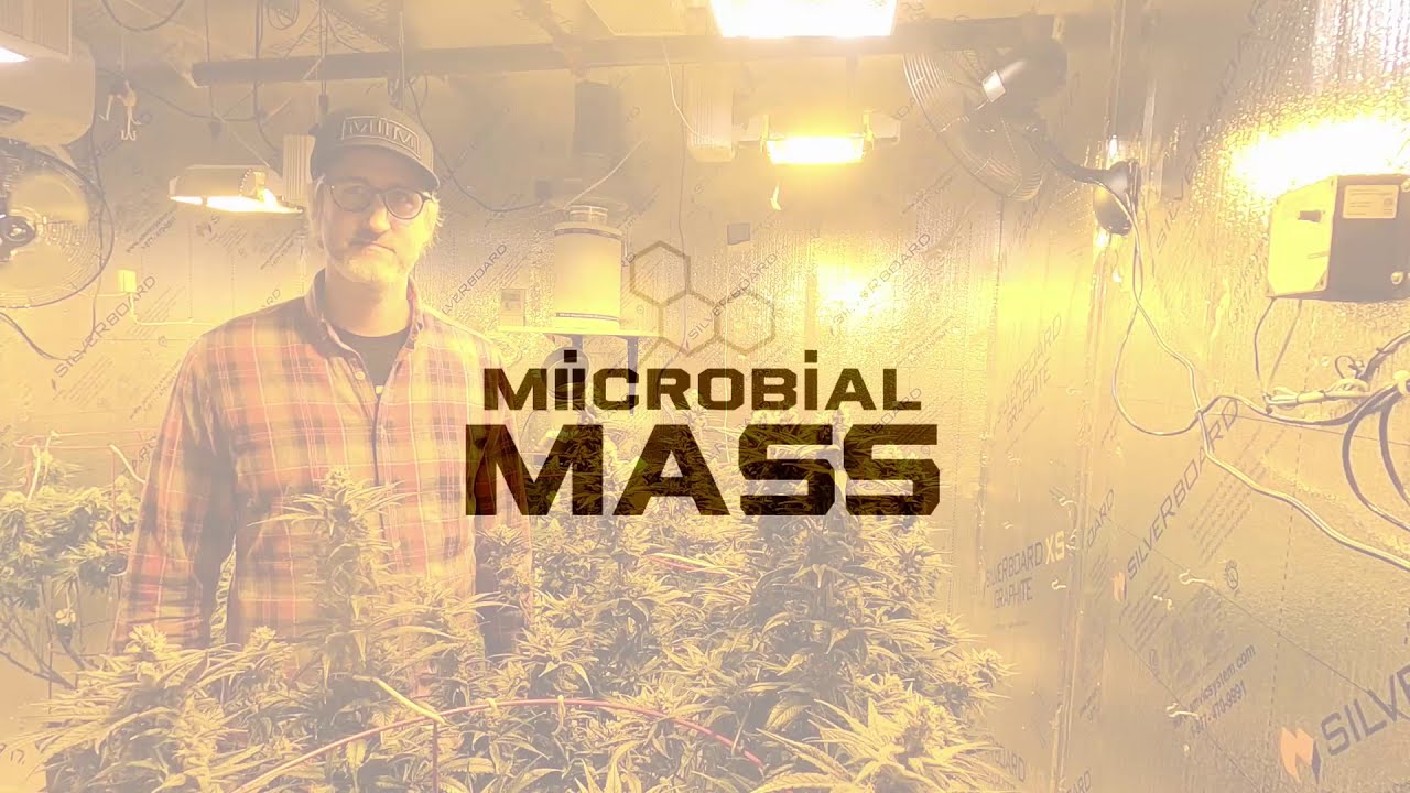 Mode of Action #2: Calcium Solubilization