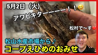 松山市 新居浜市 今治市 スーパー おすすめ 野菜 魚 肉 惣菜 新鮮 安い 品揃えがいい　#旬の魚 #サワラ　#ブリ　#牡蠣　#サヨリ　#真鯛　#生わかめ　#ホタテ貝　#アメゴ　#アマギ