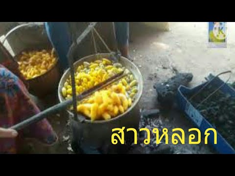วิธีสาวหลอก  สาวไหม|EP119