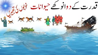 Interesting Facts About A Strange Fish | Facts About Creatures | Hayat ul Haiwan