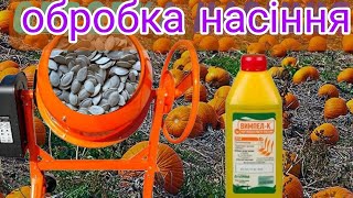 ✅🇺🇦Обробка Насіння в бетоно мішалки Ефиктивна обробка насіння Гарбуза Эфиктивная обработка семян🎃