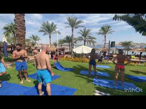 ПЕРВАЯ ЛИНИЯ НААМА БЕЙ / MARINA Sharm hotel 4* / Свежий обзор / территория / пляж / номер / питание