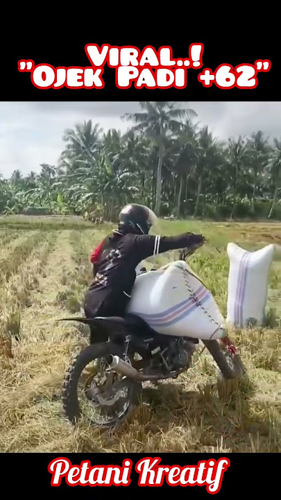'OJEK PADI' Unik dan Kreatif!..!  #shorts #adiganafarm #yearofyou