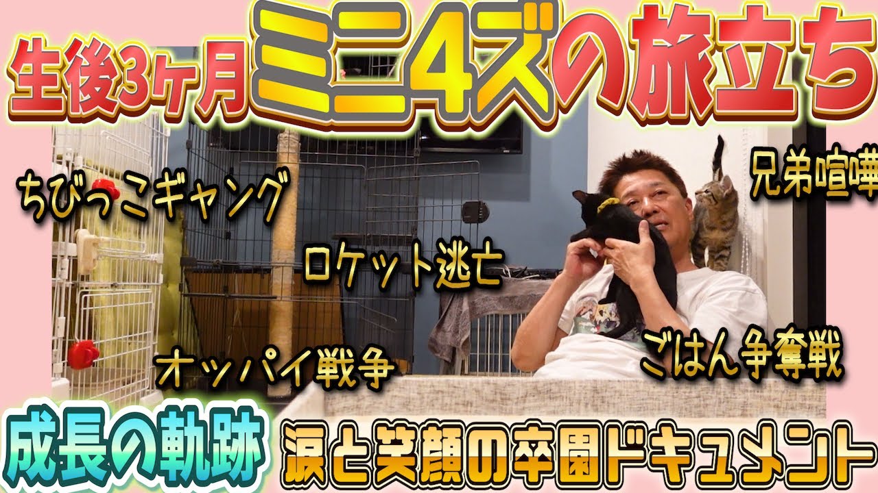 ミニ4ズ、卒園の日。たくましく成長してくれてありがと!完結編