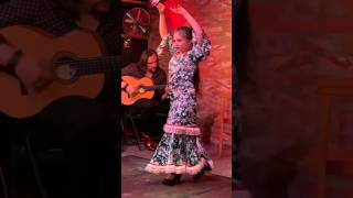 flamenco dance flamengo shorts