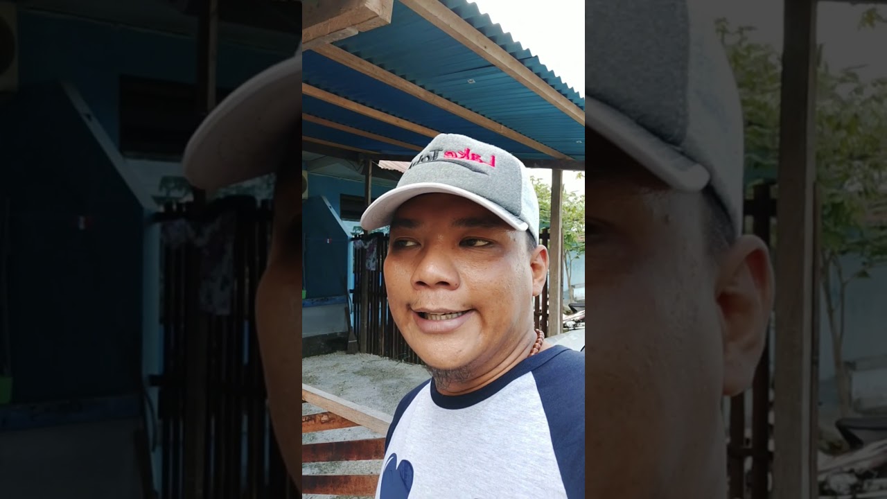 Cara Fermentasi Pupuk kandang atau Kotoran kambing, untuk menghasilkan