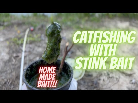 How To Make Catfish Bait: My Grandpa's Ultimate Recipe