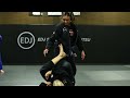 SINGLE X BASIC SWEEP | KIMBERLY BOWSER