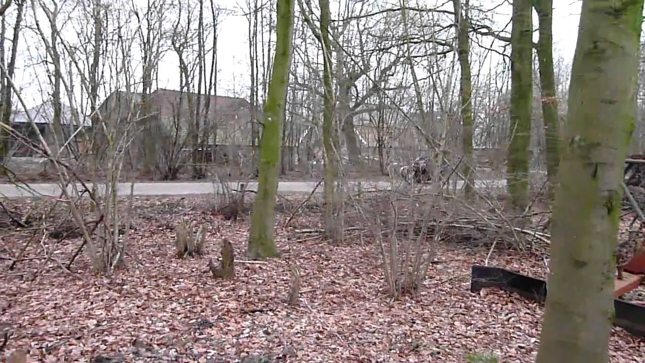 awo simson sport 425S 1958 met stoye zijspan