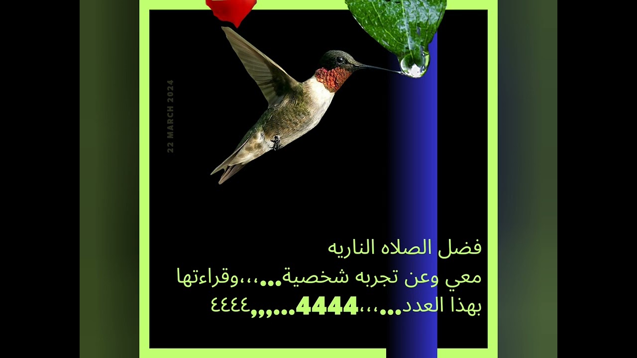 تفاصيل ورد الصلاه الناريه وتأثيرها القوي في حياتي...،،،