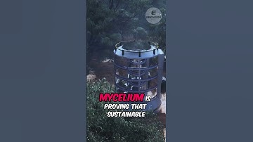 Mycelium-Based Building Materials – Nature’s Architect 🌿🏗️ #shorts #ytshorts #technology #innovation