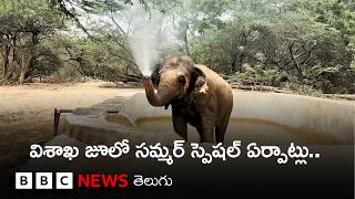 మండే ఎండల నుంచి విశాఖ జూలో జంతువులను ఎలా కాపాడుతున్నారంటే...