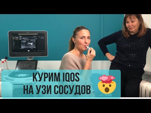 Эксперимент #2 Электронная сигарета IQOS