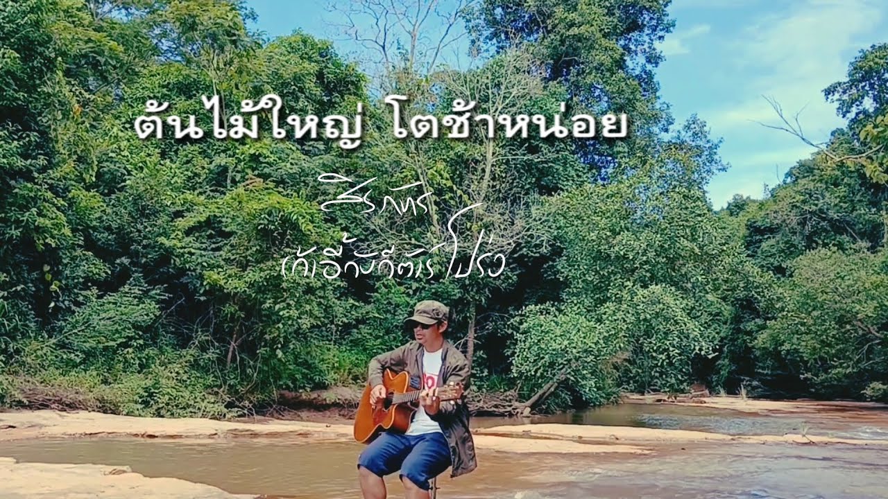 ต้นไม้ใหญ่โตช้าหน่อย - สิรภัทร (Mv)