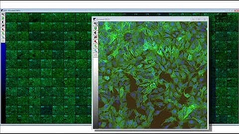 ImageXpress Micro System Workflow Demonstration