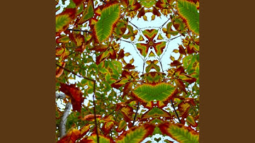 ᐊᐱᐦᑫᓰᐢ ᓴᑭᒣᐘᔮᐣ