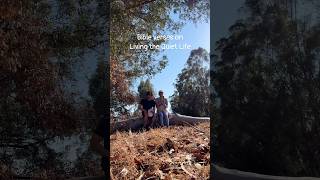 Proverbs 171 - Better A Dry Crust With Peace And Quiet Than A House Full Of Feasting, With Strife.