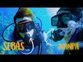 PERDIENDO MI VIRGINIDAD DE BUCEO CON JUANPA ZURITA 😂 | Sebas