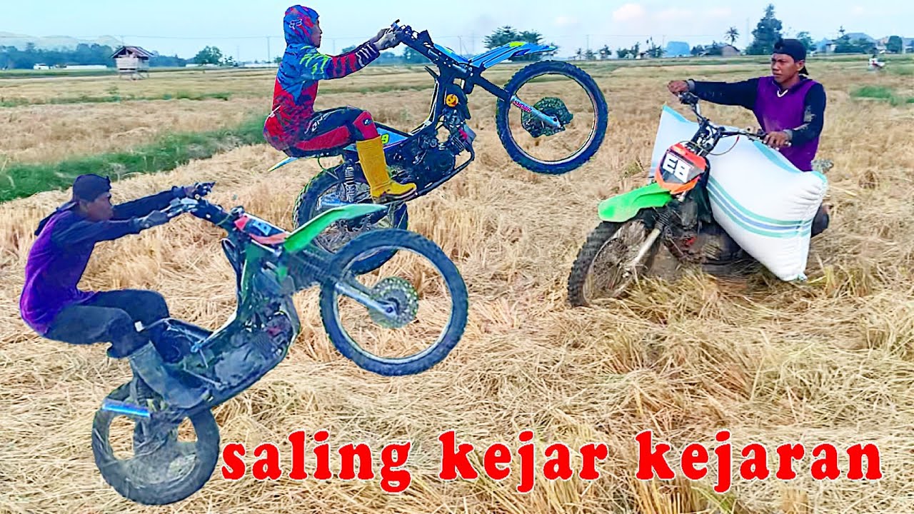 Gabutnya para ojek gabah, sawah pun di jadikan seperti arena balap | aksi saling kejar kejaran