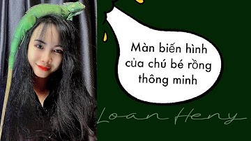 Màn biến hình của chú bé rồng thông minh và Loan Hensy