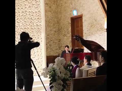 일반인의 결혼식 축가(쿨-아로하)