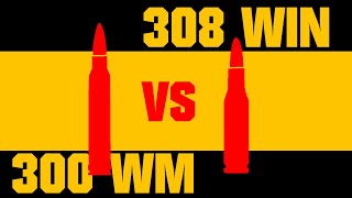 Duel numéro 1 : 300 WM VS 308 Win Partie 1