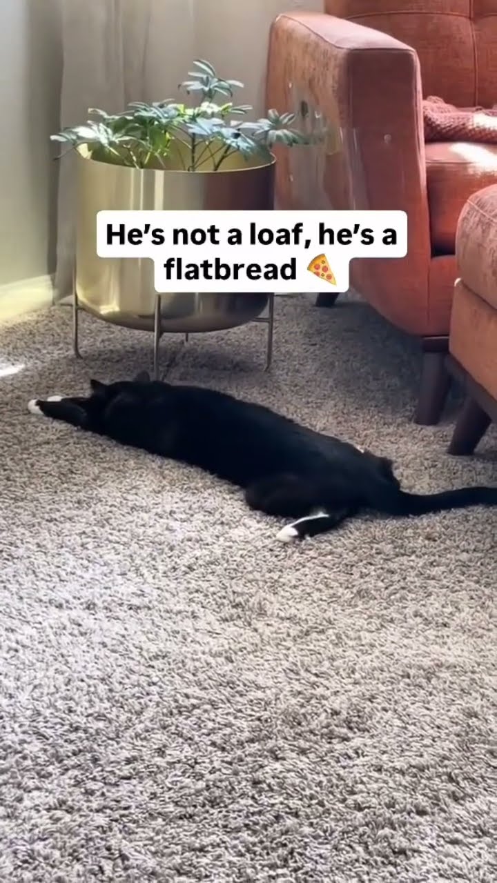 Bro is really just a flatbread pizza