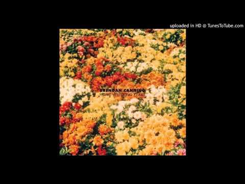 Once I Was A Runner - Brendan Canning