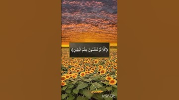 #آيات #تلاوات #راحة_نفسية #ارح_قلبك #آيات_القرآن_الكريم #دعاء #دعاء_مستجاب