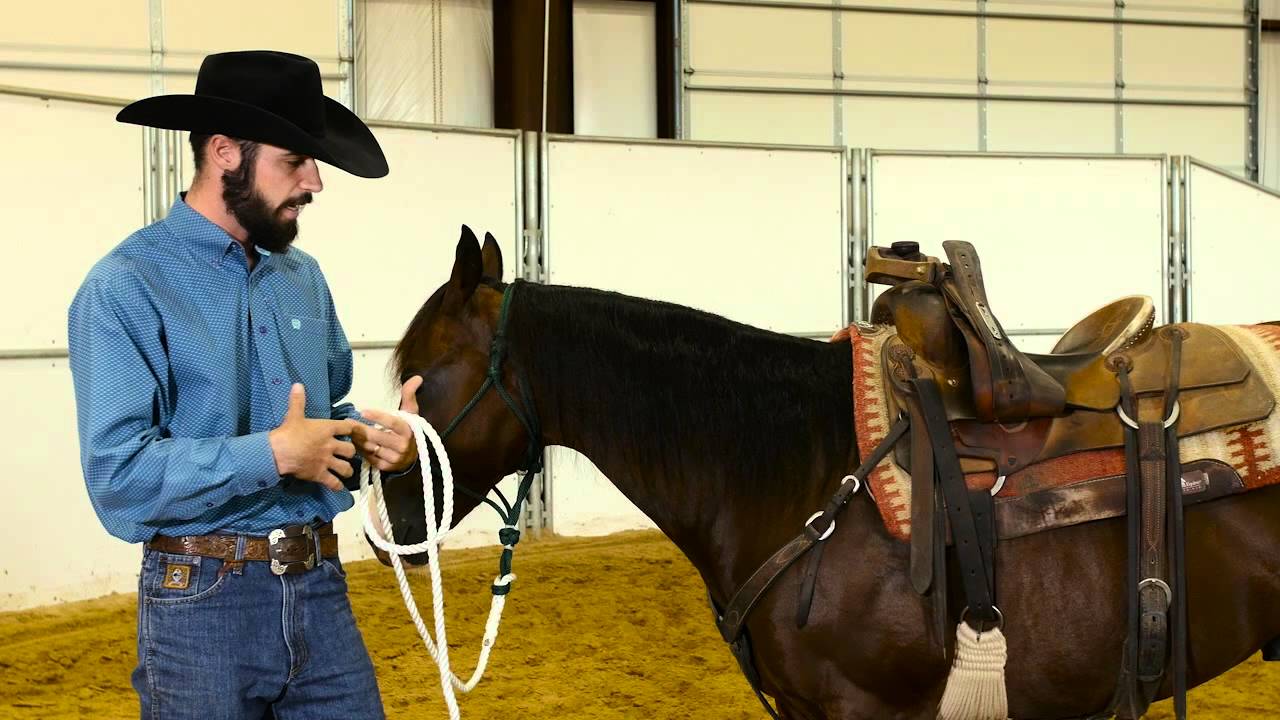 Prevent Cinch Sores with Dennis Moreland Tack YouTube