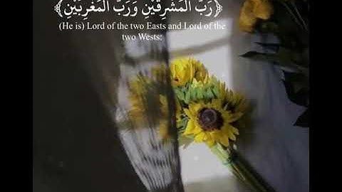 قران كريم بصوت عمير شميم🌸🕊||حالات واتس أب||رب المشرقين ورب المغربين💗||😍