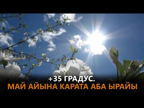 Video: Апрель айында Сафед шаарында аба ырайы