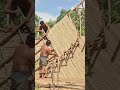 Top 10 Building Bamboo House And Underground With Swimming Pools