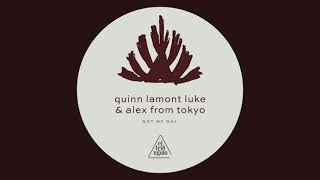 Quinn Lamont Luke & Alex From Tokyo - Not My Day (Tokyo Black Star Remix)