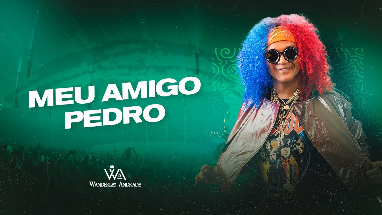 WANDERLEY ANDRADE - MEU AMIGO PEDRO