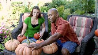 How To Pick A PERFECT Pumpkin
