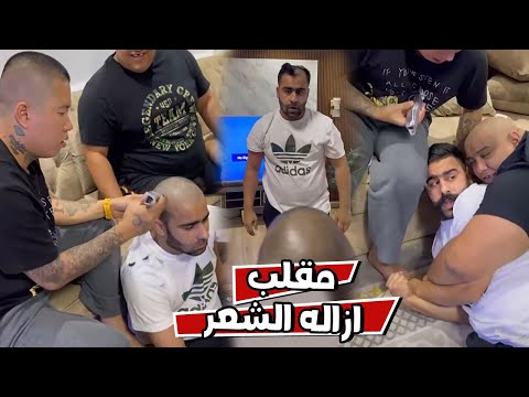 الكل اتفق علي ازاله شعر بوشنب