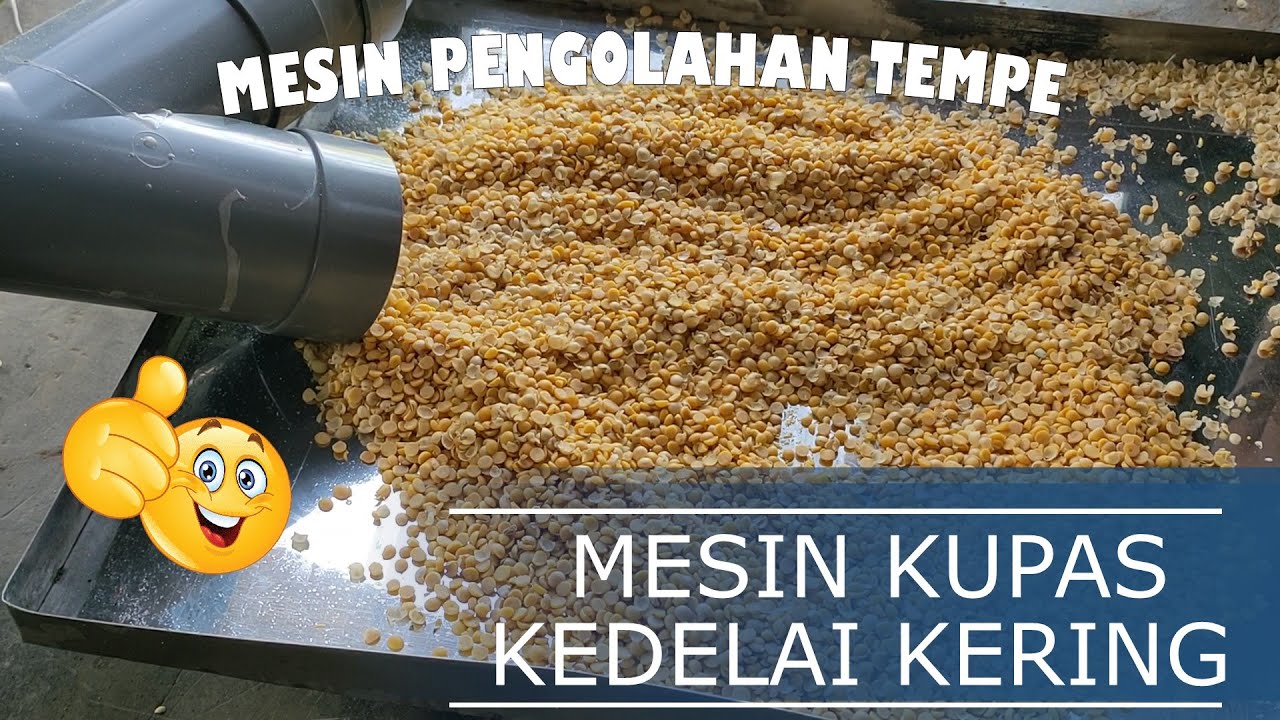 Mesin Pengupas Kedelai Kering | Mesin Pemecah Kedelai | Mesin Pengupas Kulit Ari Kedelai